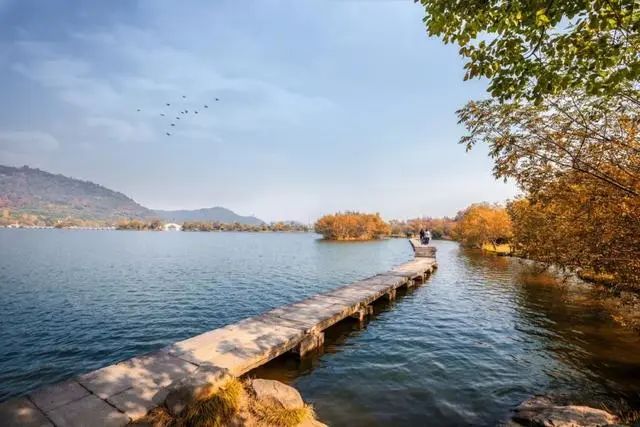 1666150081388655.jpg 3.jpg